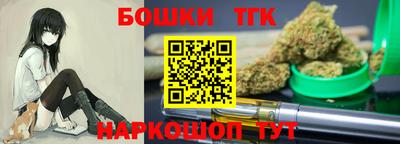 дмт Сланцы