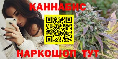 дмт Сланцы
