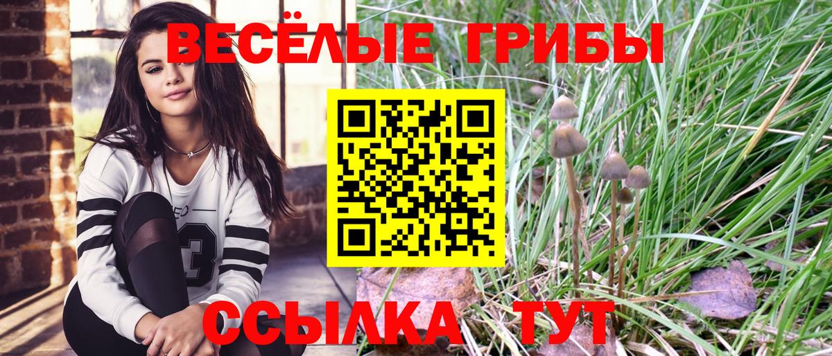 Галлюциногенные грибы мицелий  цена   Орехово-Зуево  Вход с VPN 